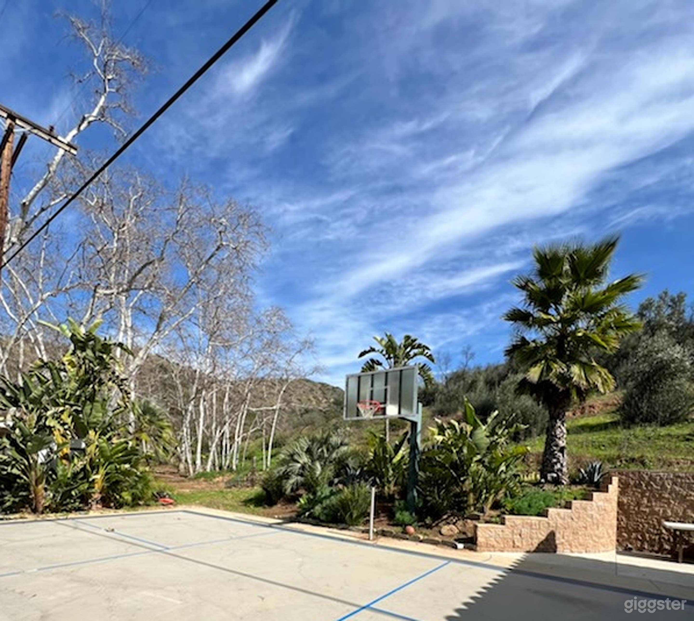 Dynamic Basketball Court Photo 2