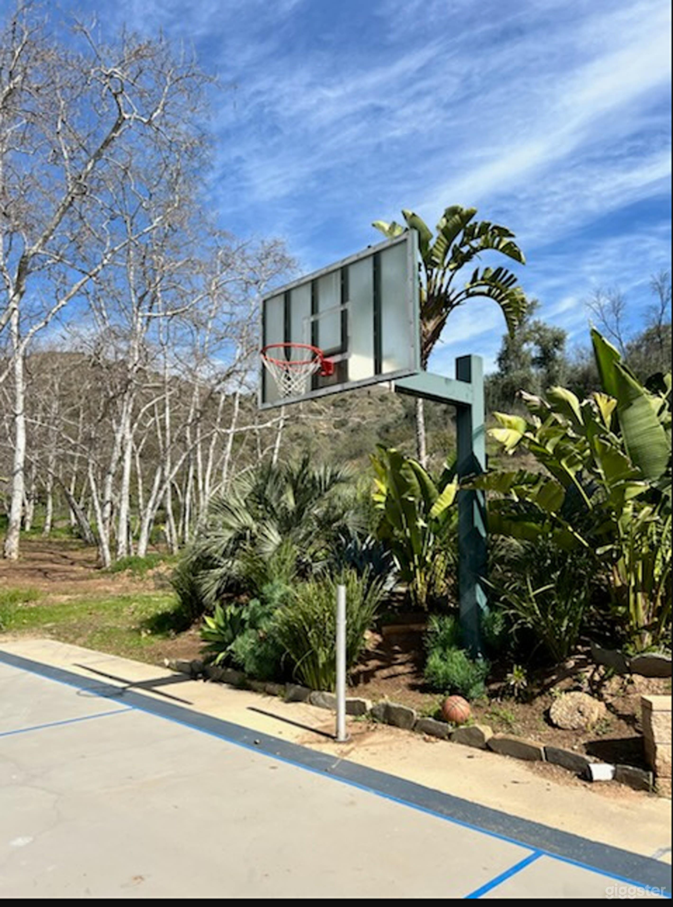 Dynamic Basketball Court Photo 1