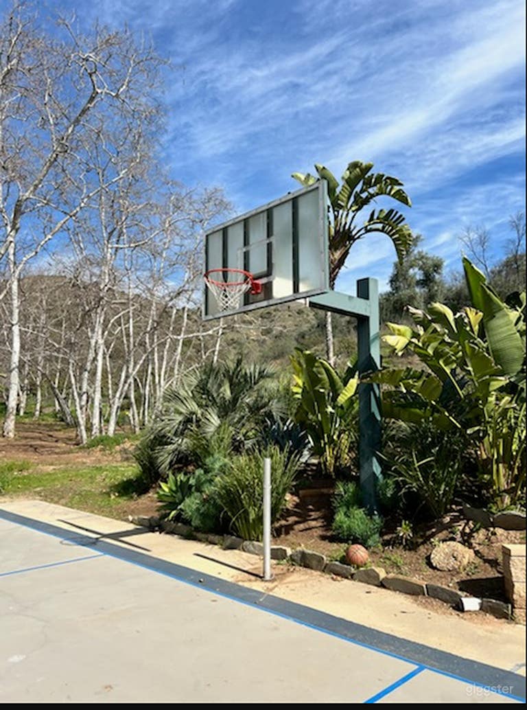  Dynamic Basketball Court 