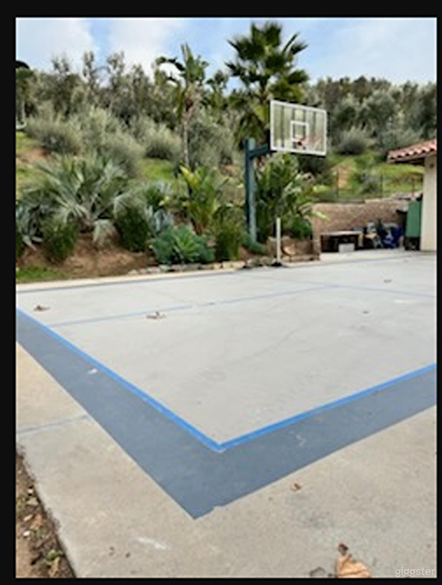 Dynamic Basketball Court Photo 4