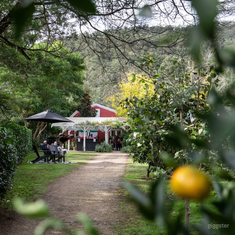  The Red Barn in the Vineyard (Exclusive Hire) 