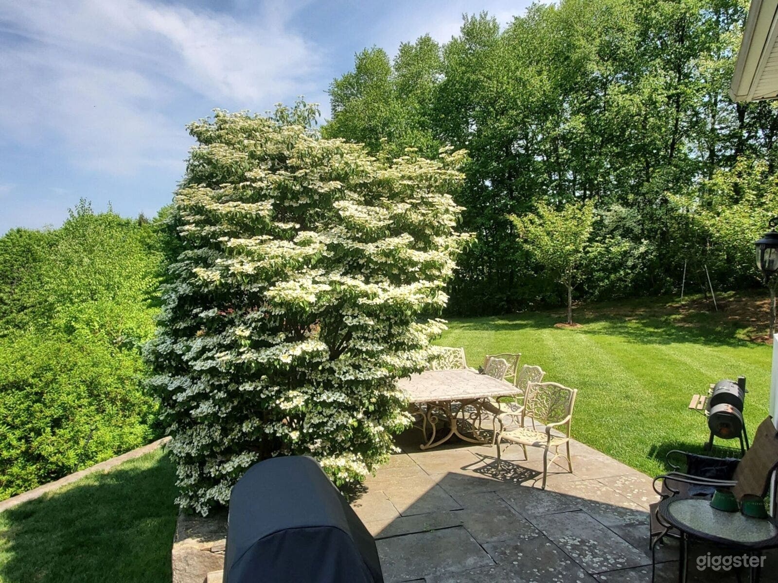 French Colonial Mountain Estate Backyard with Lake Views Photo 1