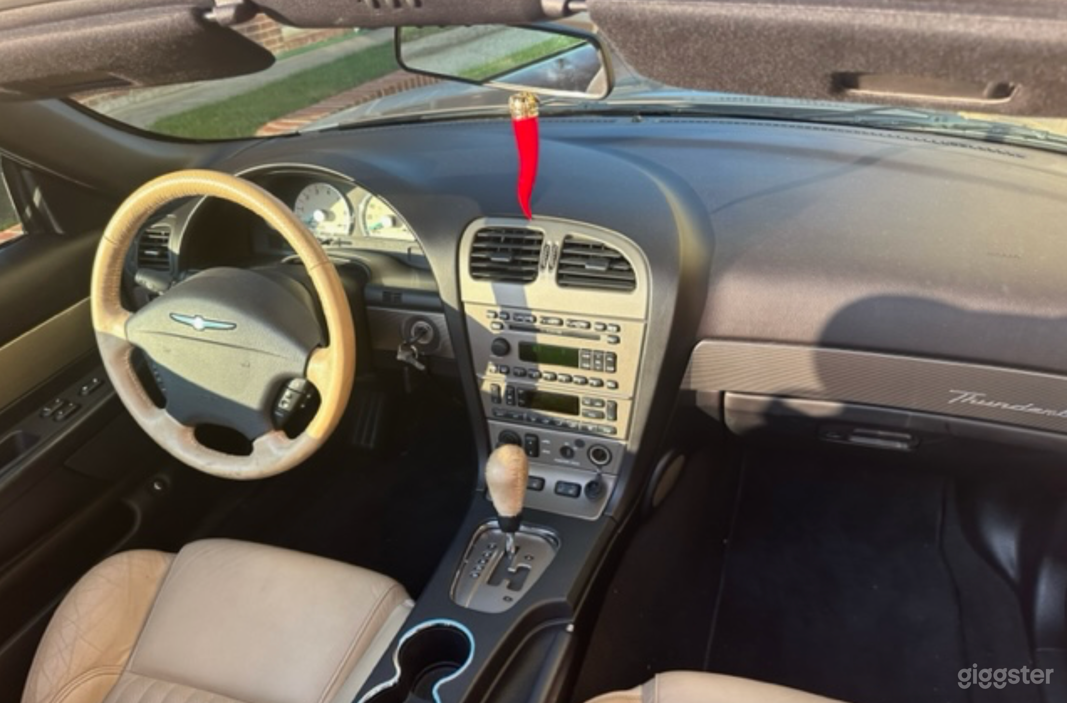 2004 Thunderbird Photo 4