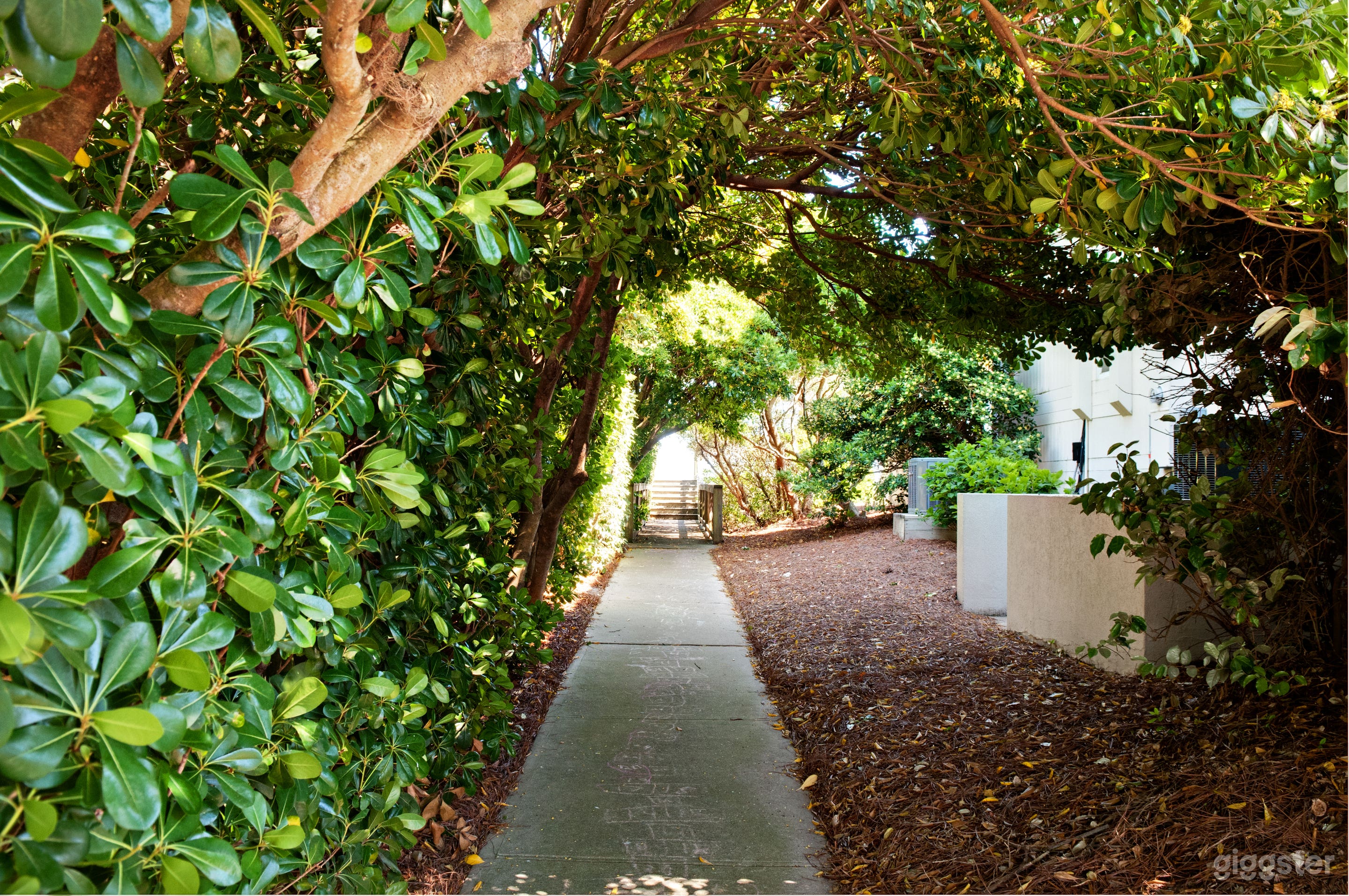 Luxury Oceanfront Estate Wrightsville Beach. Views Photo 3