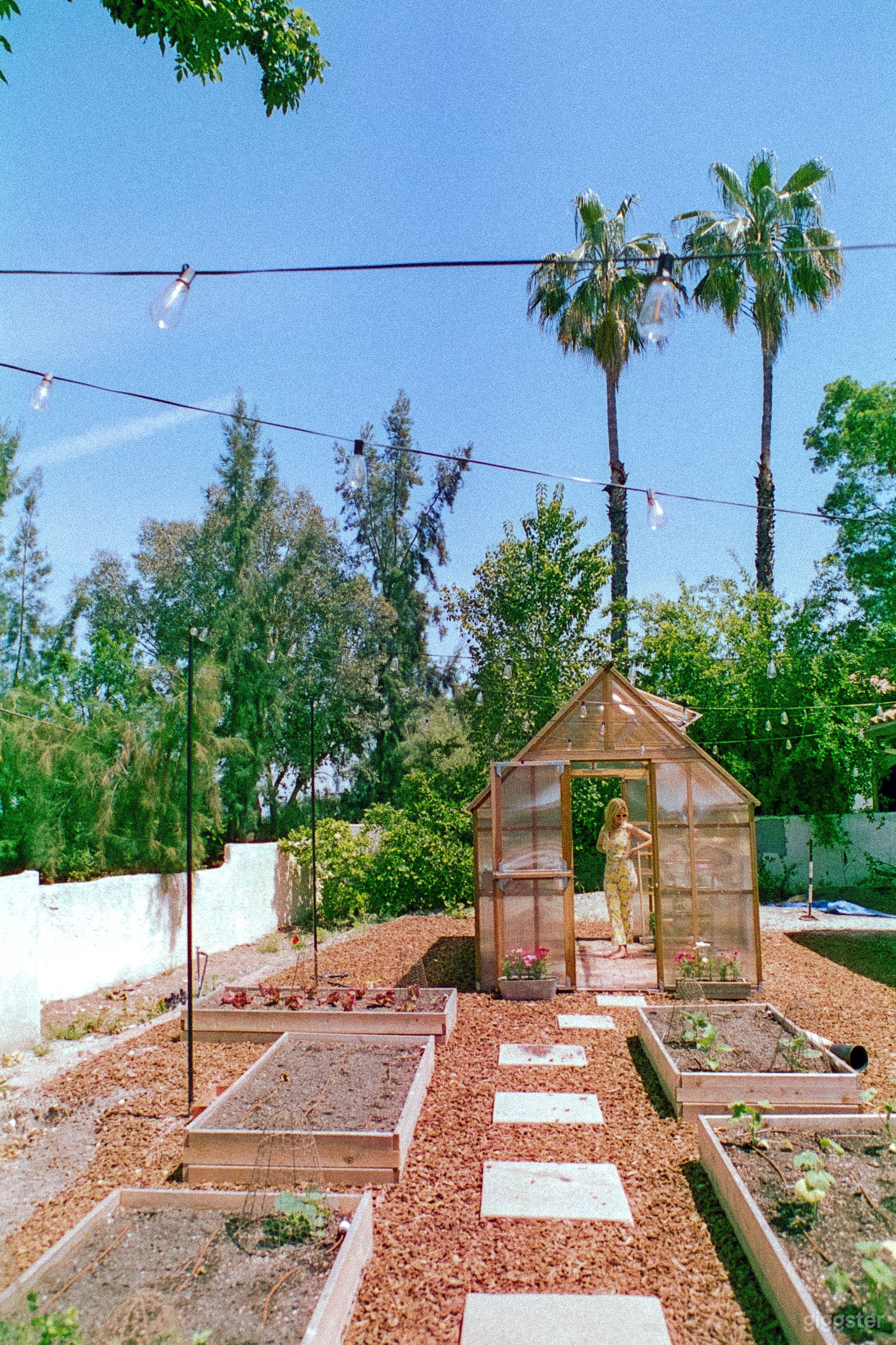 Production Ready Vegetable Garden with Greenhouse  Photo 3