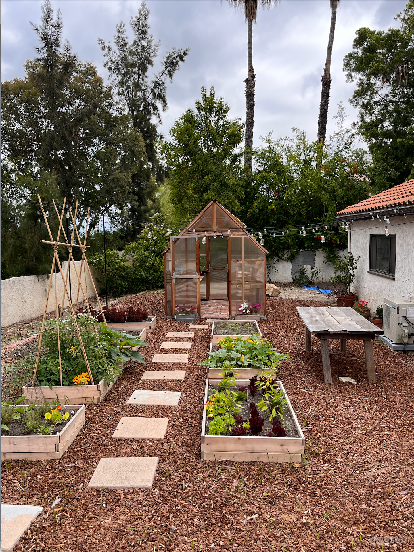 Production Ready Vegetable Garden with Greenhouse  Photo 2