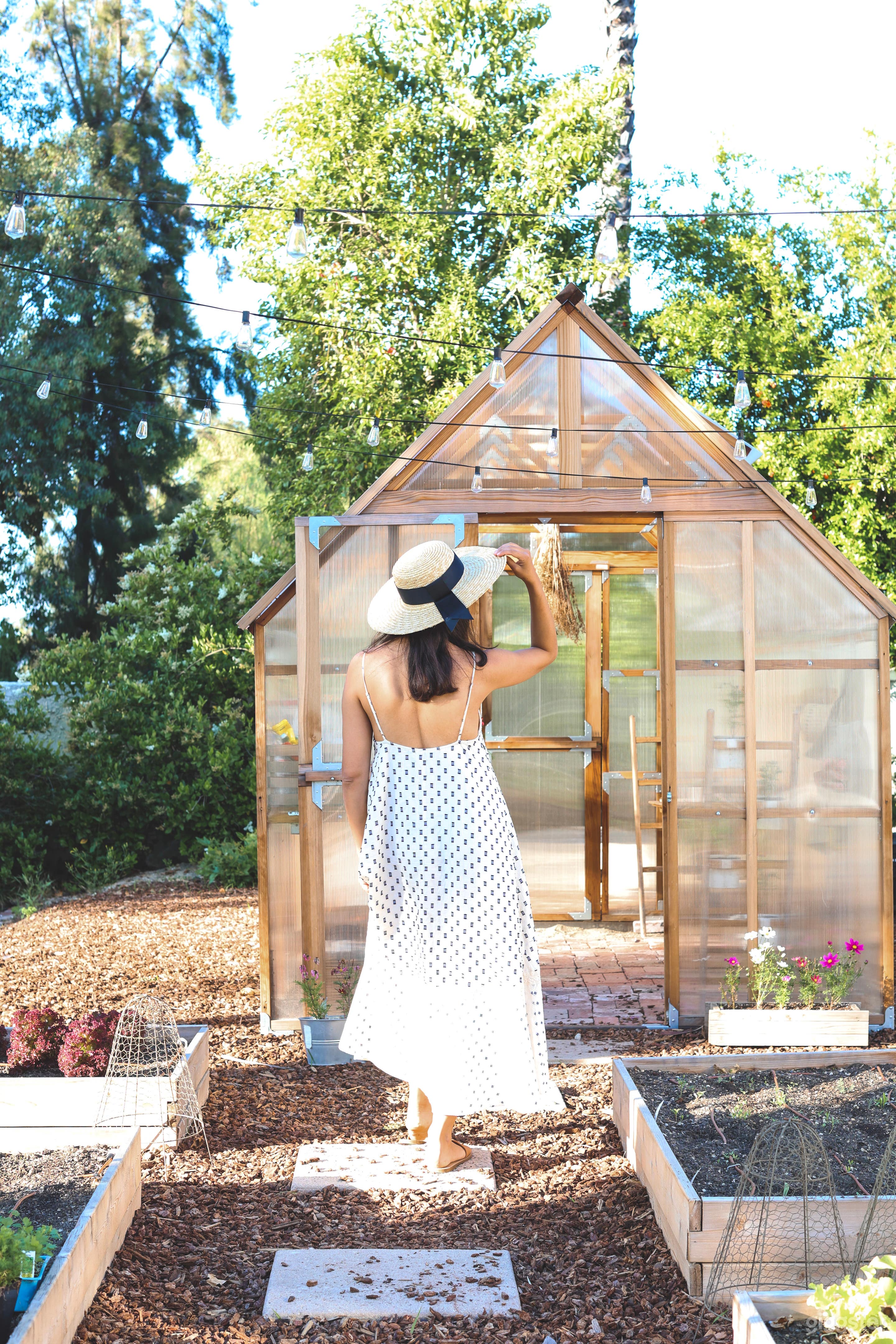 Production Ready Vegetable Garden with Greenhouse  Photo 1