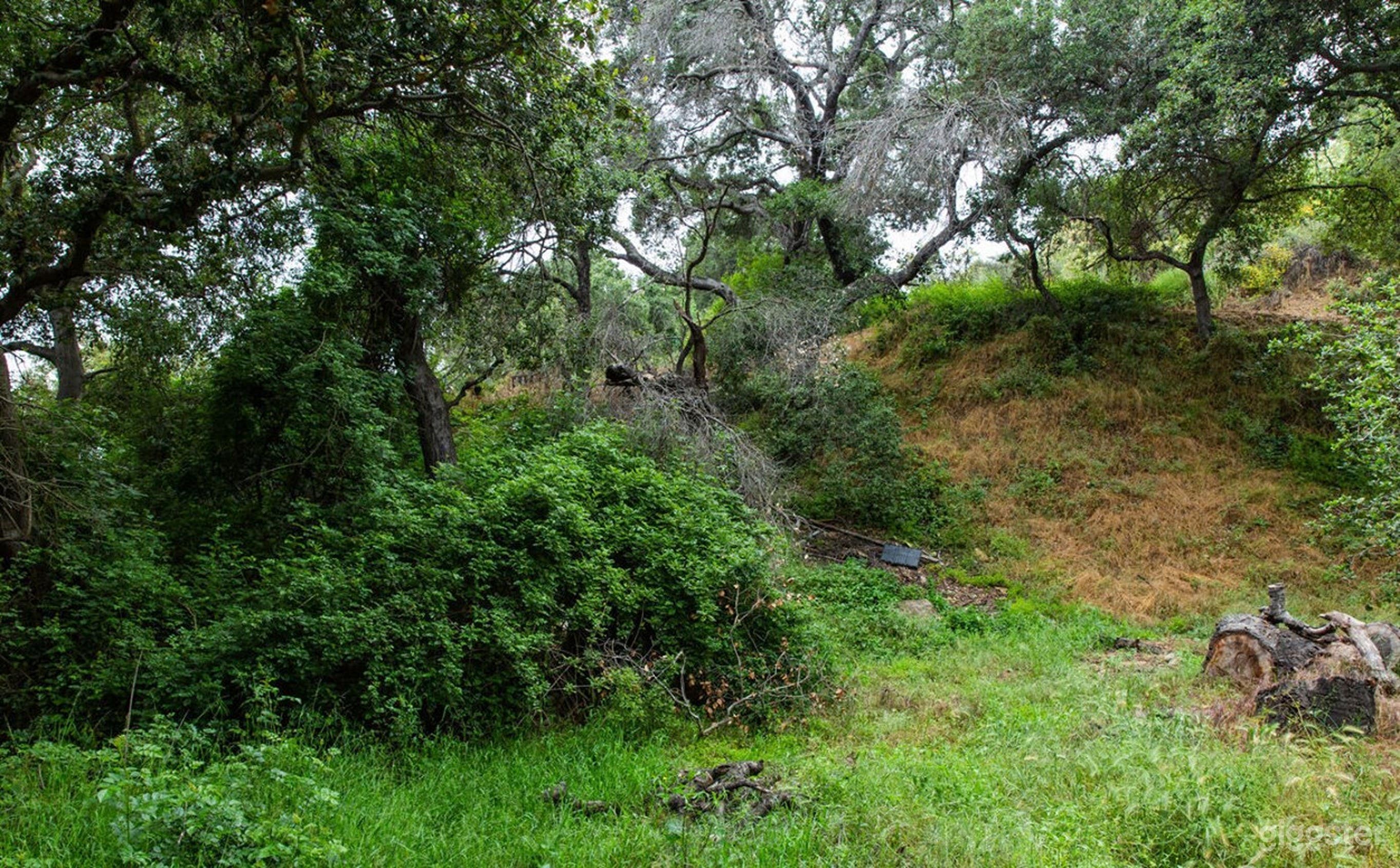 Rustic, Charming Outdoor  Photo 4