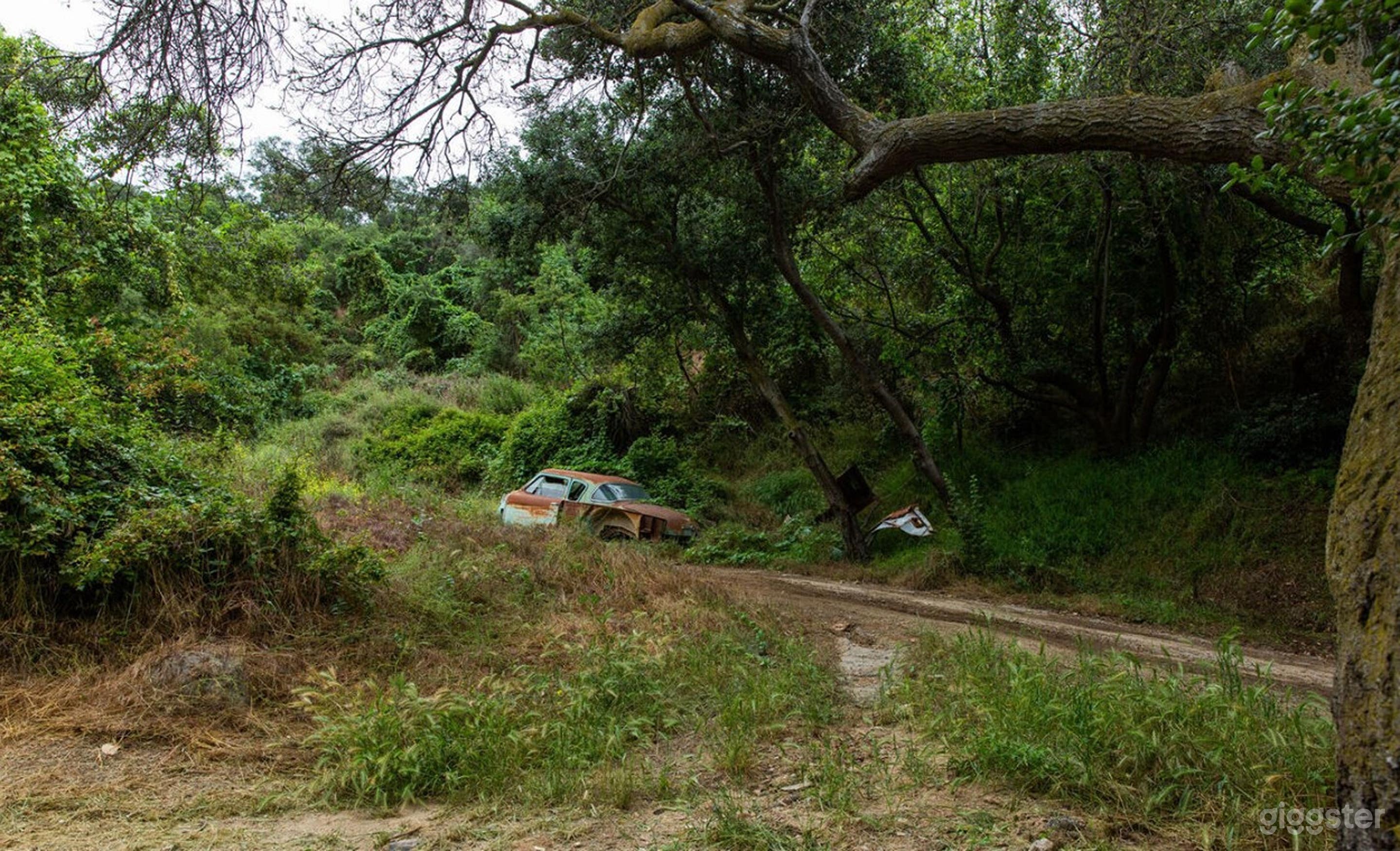 Rustic, Charming Outdoor  Photo 2