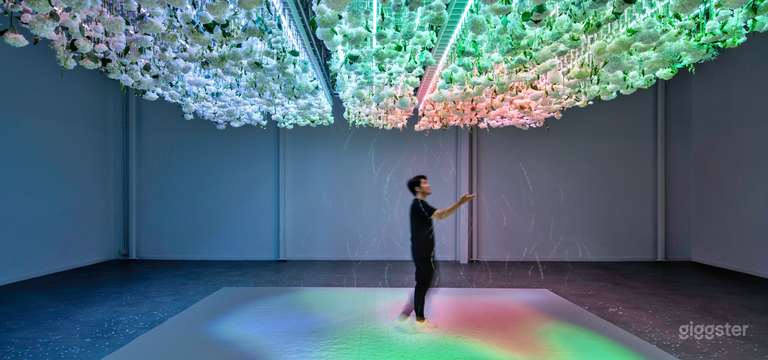  Ihre leere Leinwand erwartet Sie 