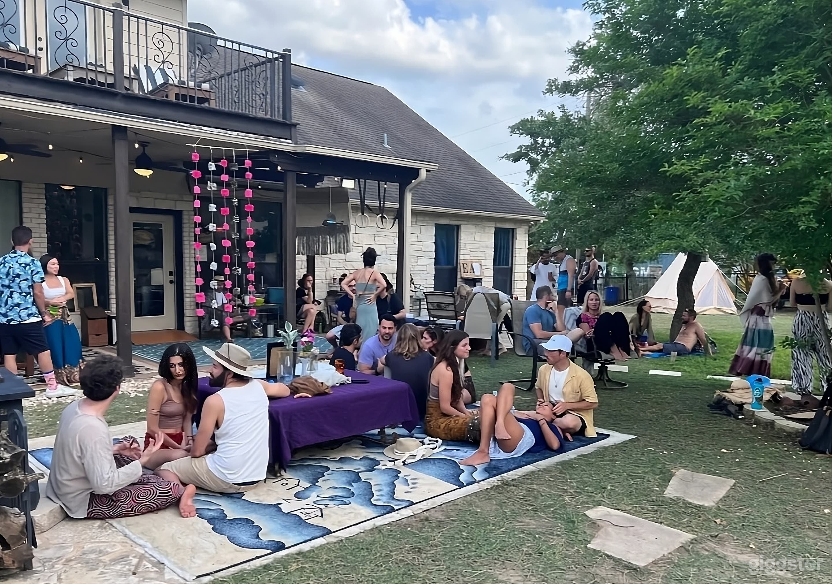 Unique Alpaca Farm Backyard Photo 2