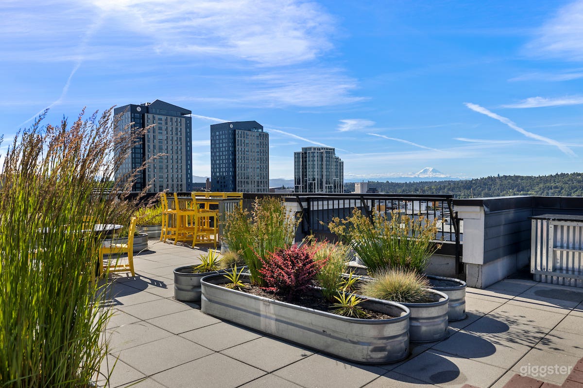 Charming Rooftop Deck w/ Seattle Skyline View Photo 3