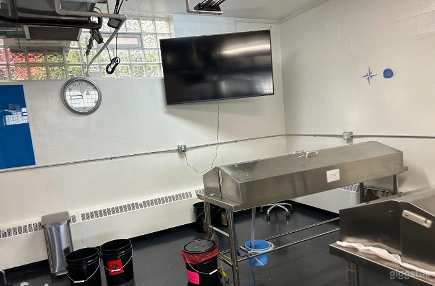 Fully Equipped Laboratory Space for Production Photo 1