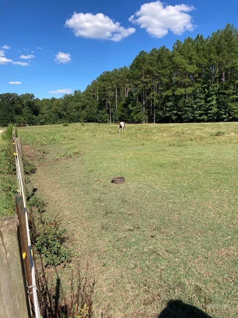 Two Acre Pastures Photo 4