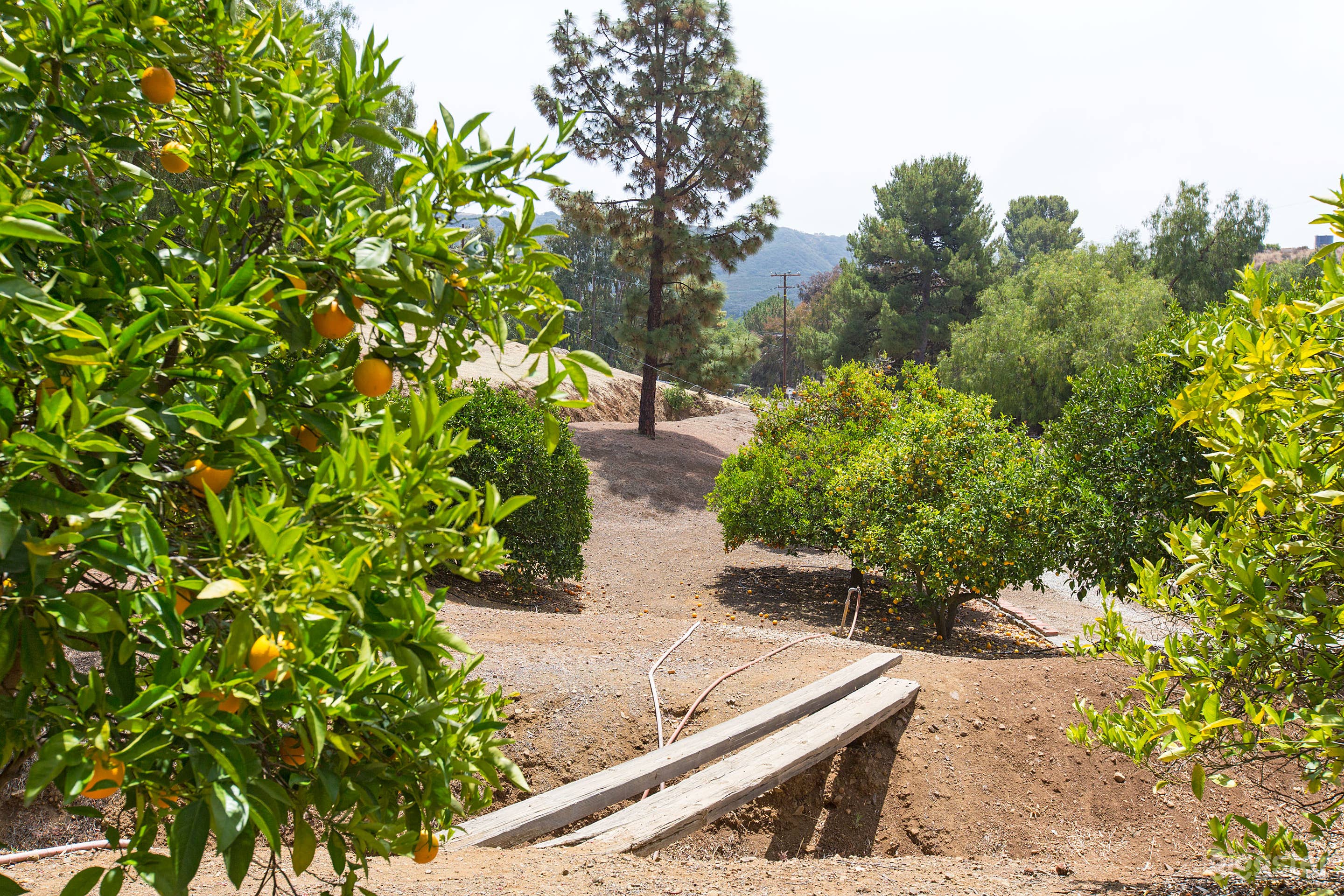 Country ranch house- west Malibu mountains Photo 3