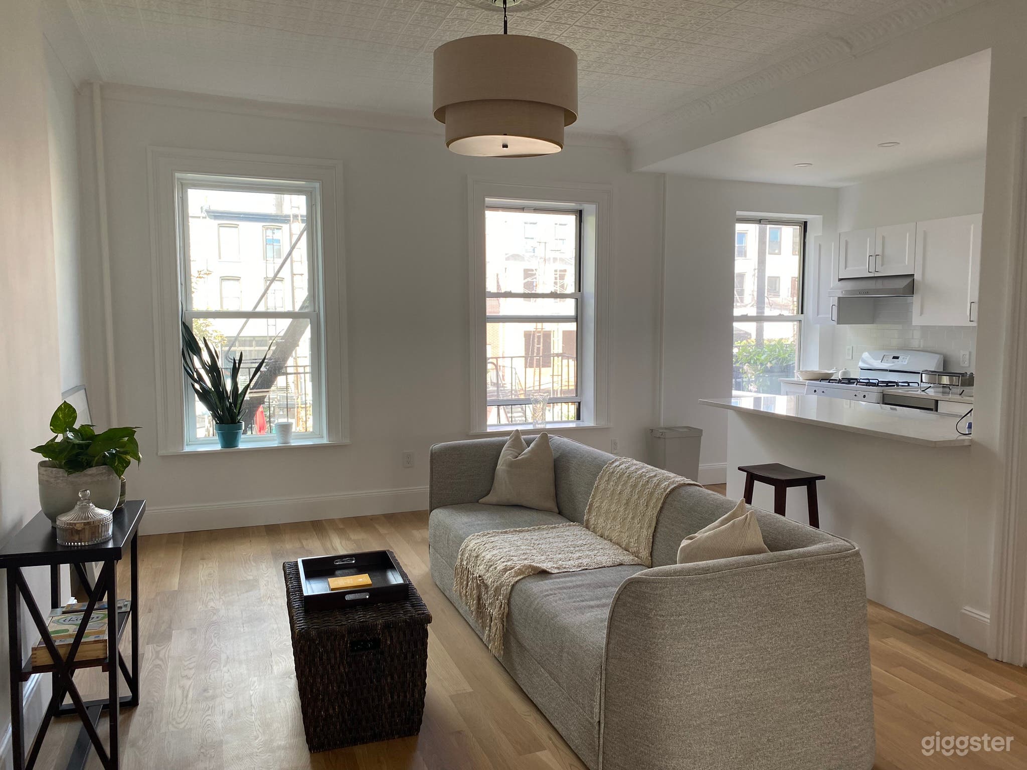 Sundrenched Brooklyn Brownstone Apartment  Photo 1