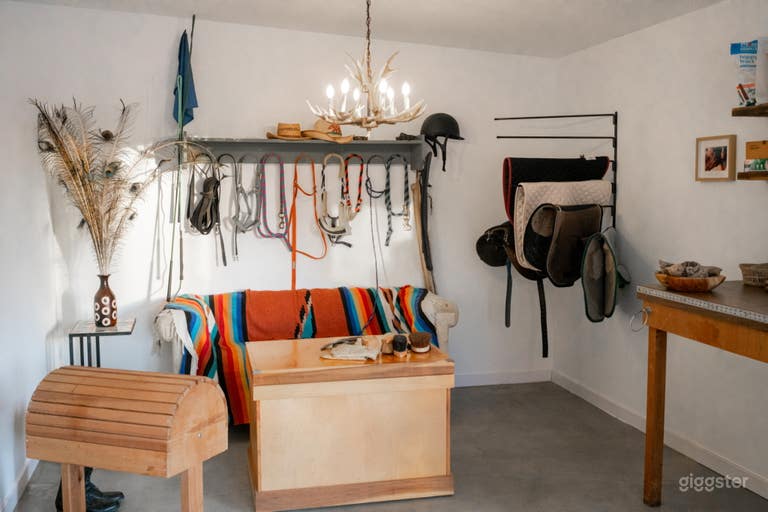  Ranch Property with pool, fire pit, horse, donkeys and goat 