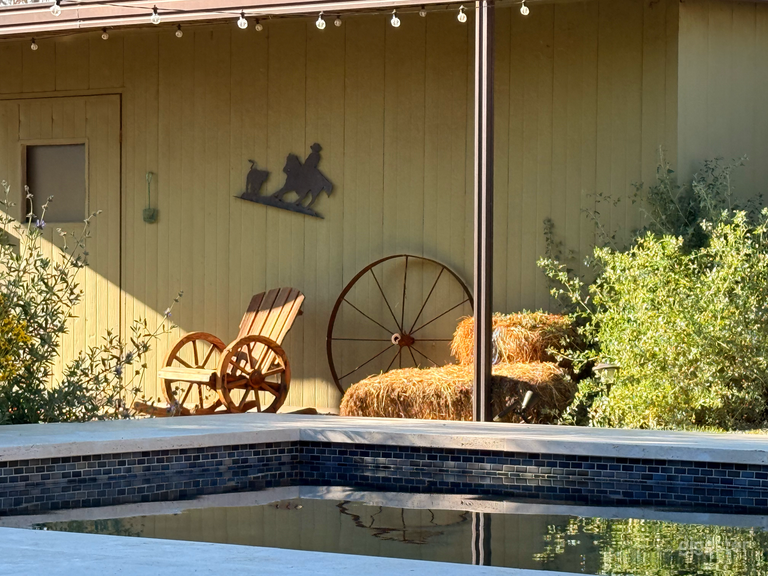  Ranch Property with pool, fire pit, horse, donkeys and goat 