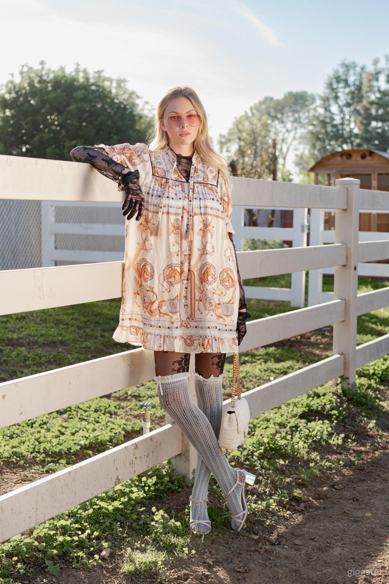 Ranch Property with pool, fire pit, horse, donkeys and goat Photo 4