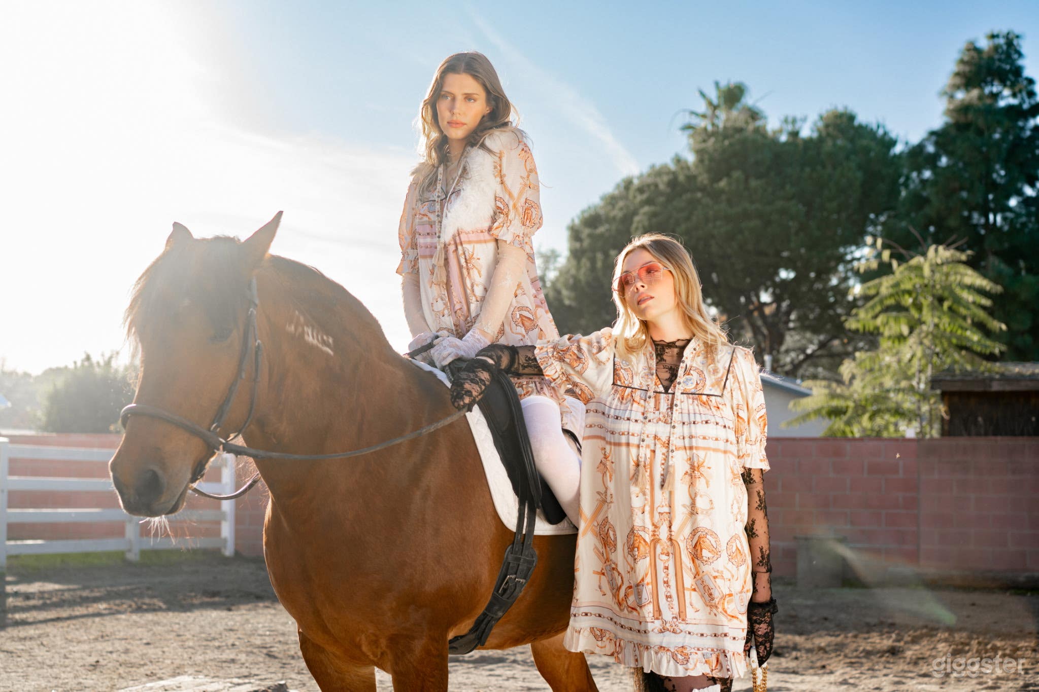 Ranch Property with pool, fire pit, horse, donkeys and goat Photo 1