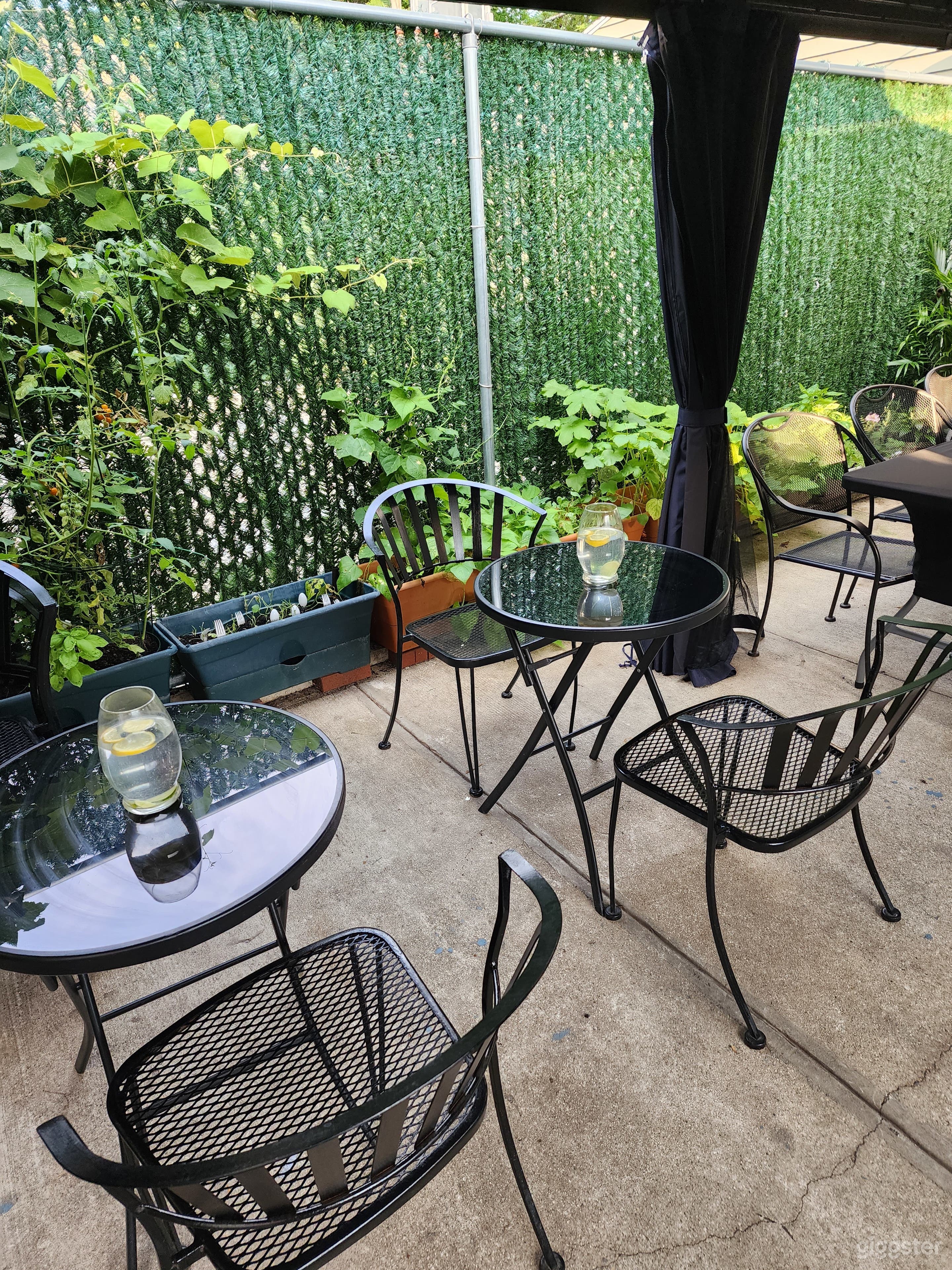 Backyard Oasis  Photo 3