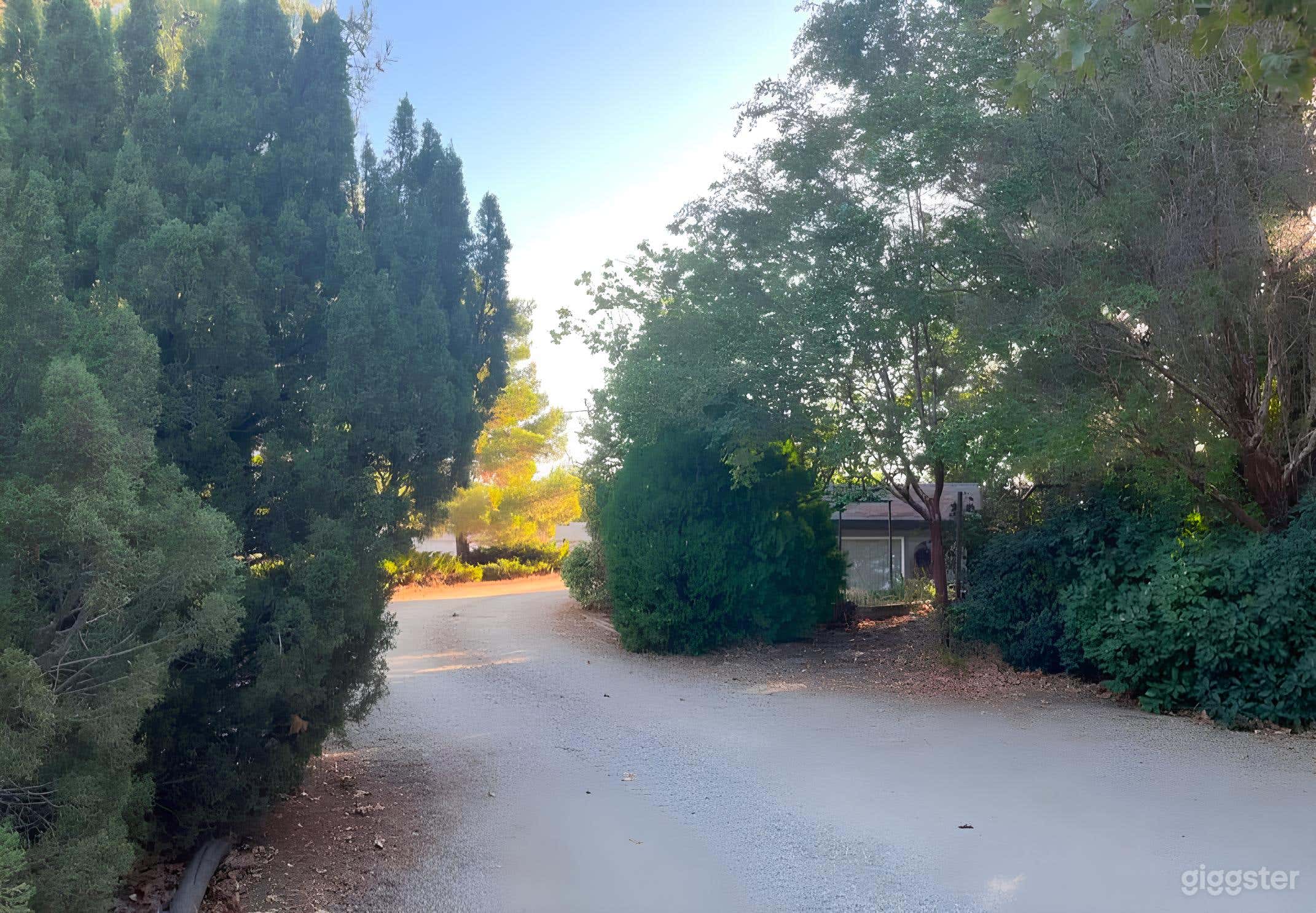 Secret Garden in the Heart of Palmdale Photo 4