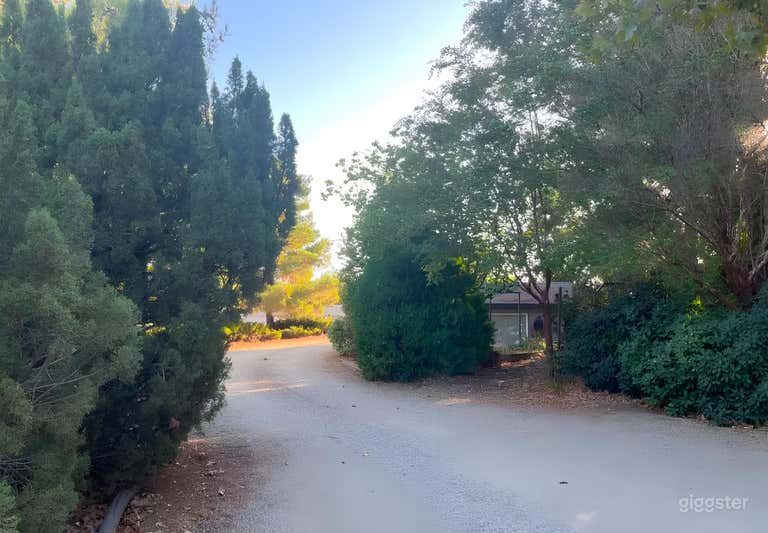  Secret Garden in the Heart of Palmdale 