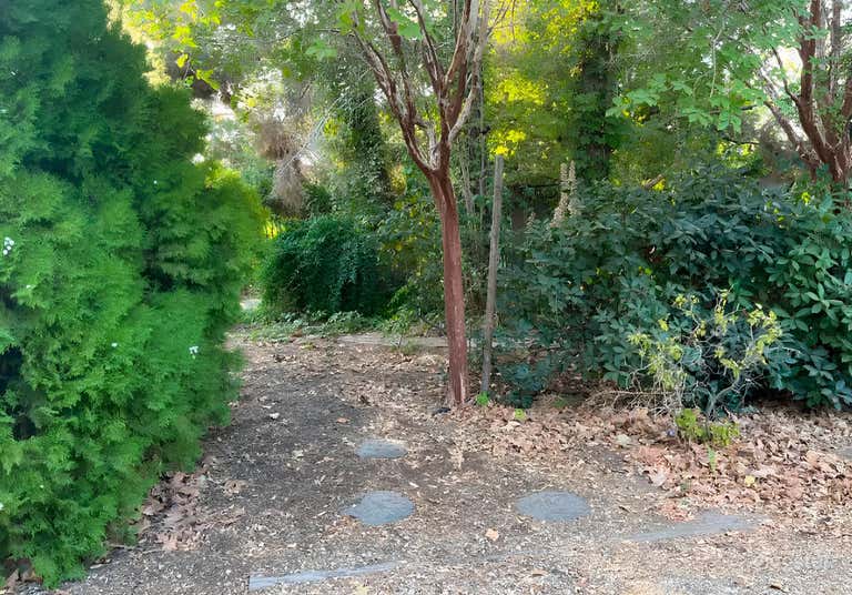  Secret Garden in the Heart of Palmdale 