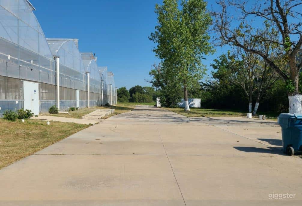 Hydroponic Urban Farm in Houston Photo 4
