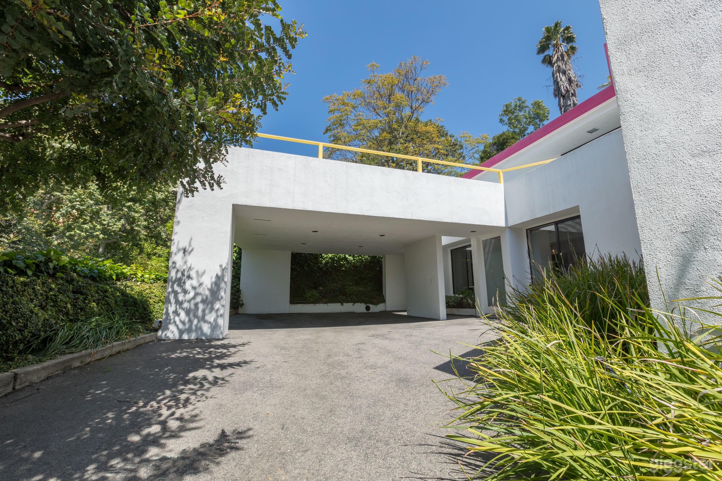 Tropical Hollywood Photo 4