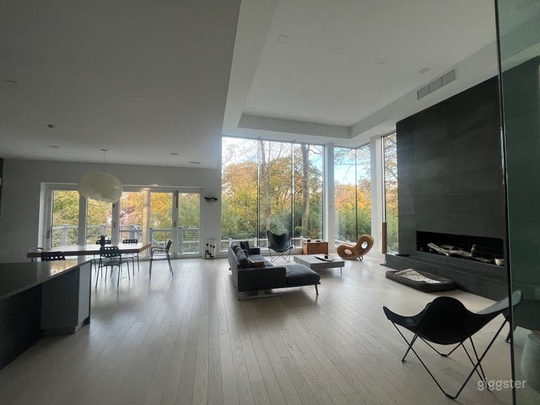  Stunning Zen, modern home 