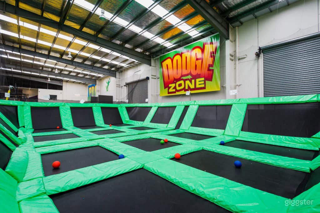 DODGEBALL ZONE Photo 1