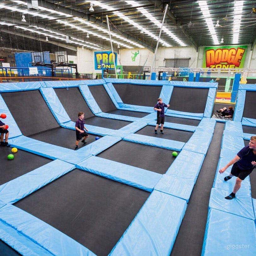 DODGEBALL ZONE Photo 3