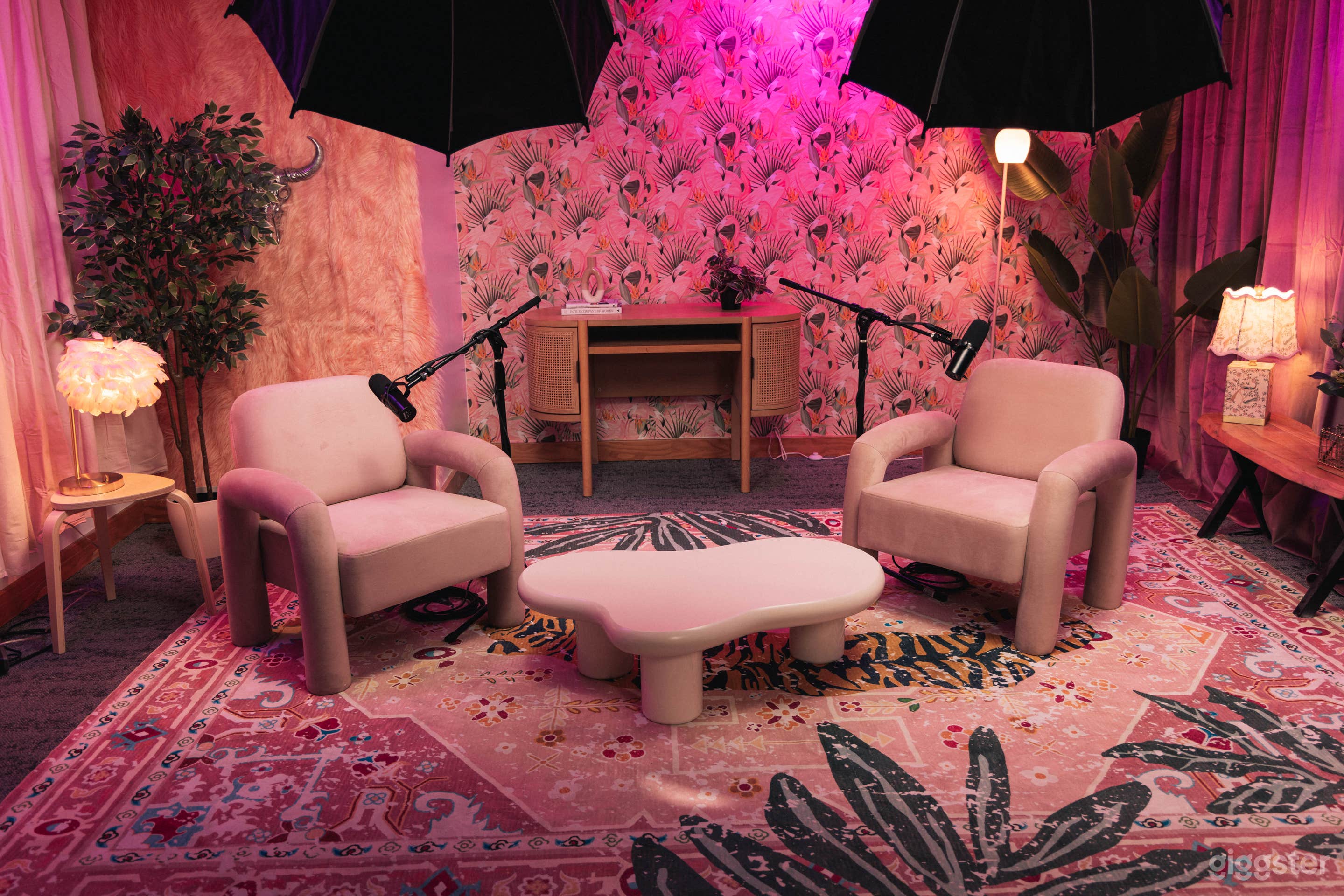 The Muse Podcast Set Photo 4
