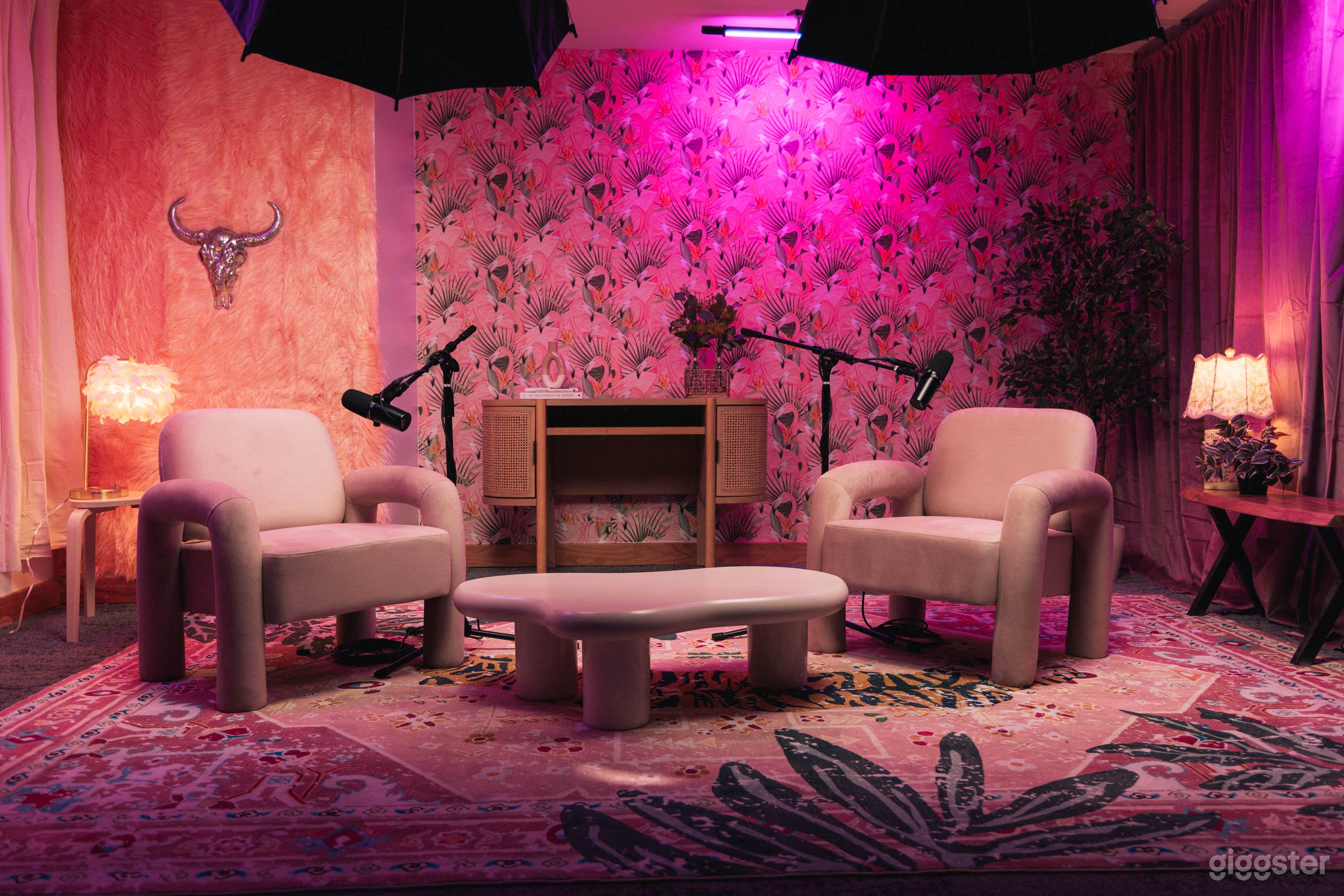 The Muse Podcast Set Photo 1