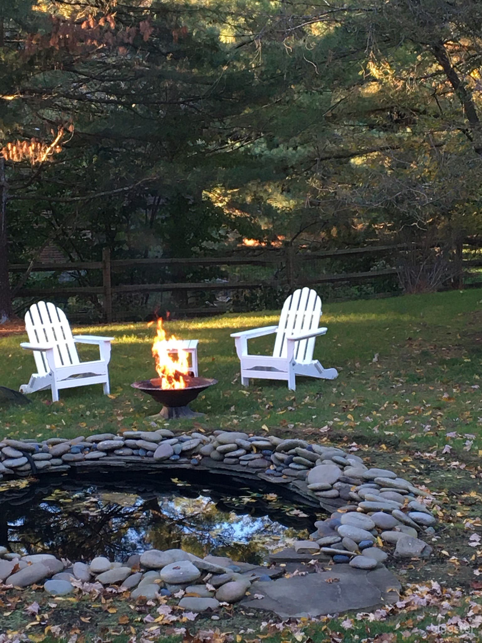 Pond feature in backyard 