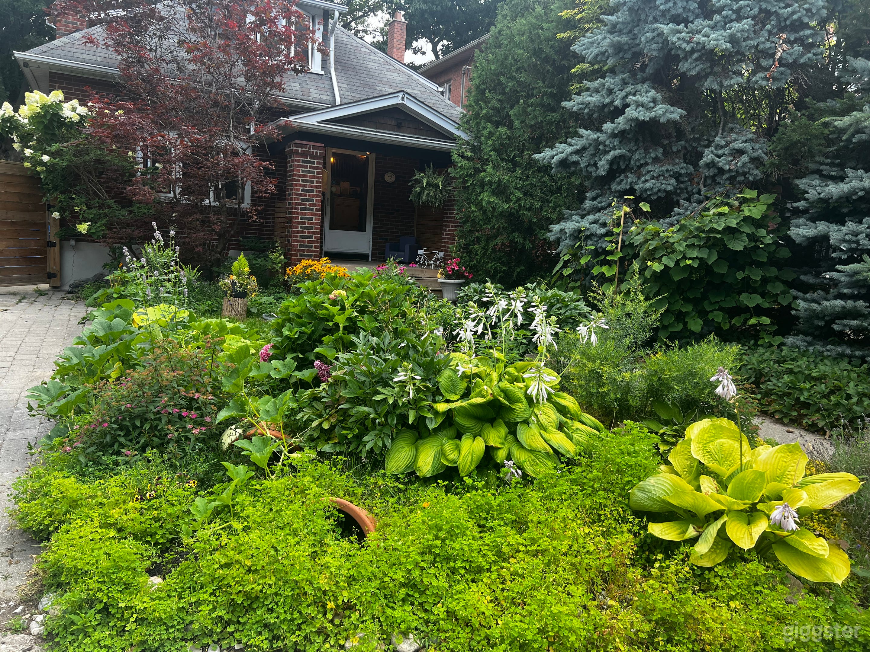 Cottage in the city Photo 1