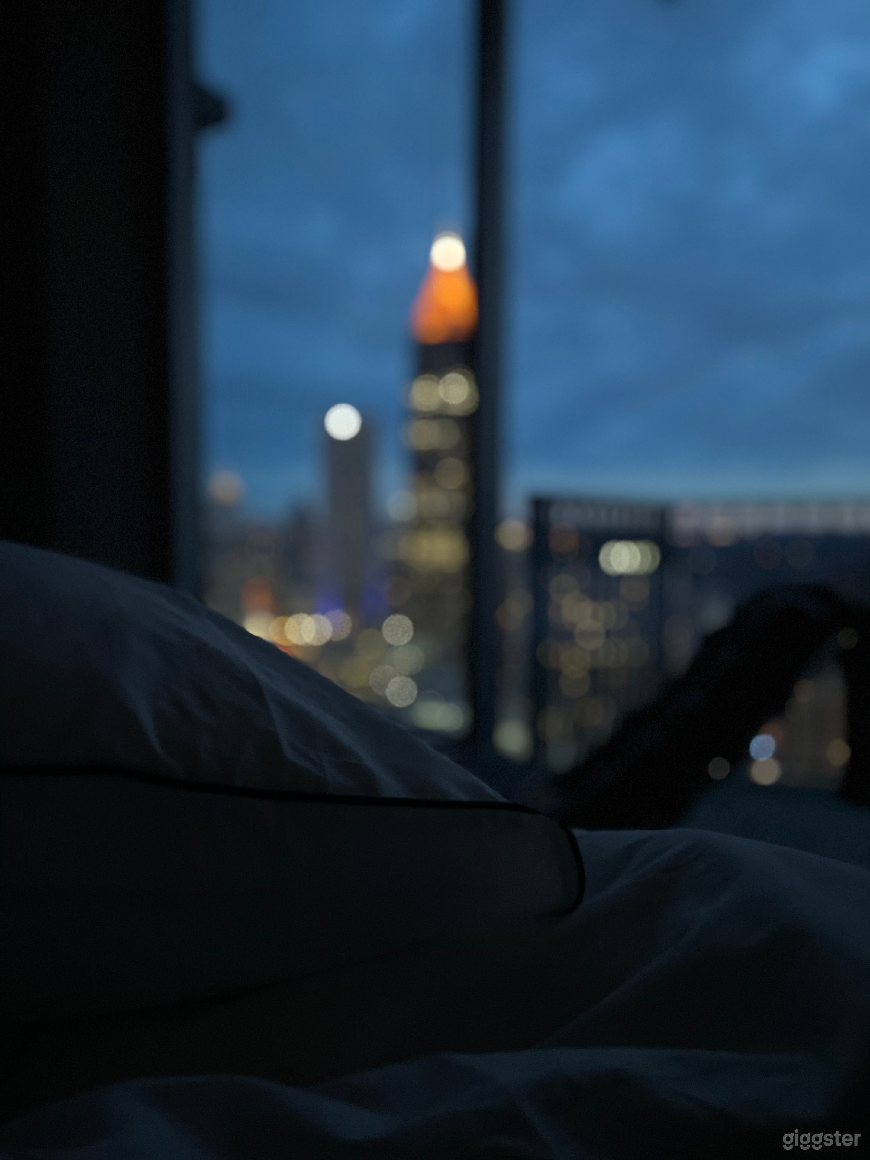 Modern Downtown Condo with Stunning Skyline View Photo 4