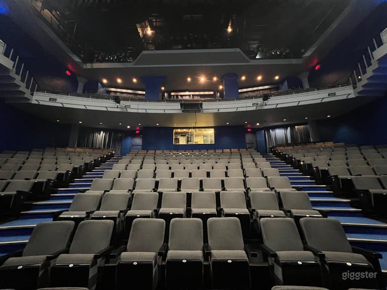  Two-Level Proscenium Theatre with 446 Seats 