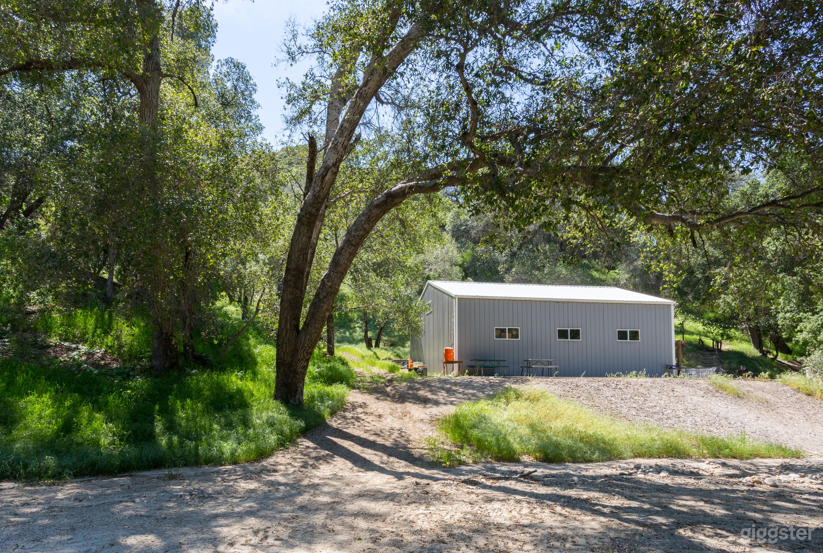 Affordable Open Lands With Barn, Forest with Stream Photo 1