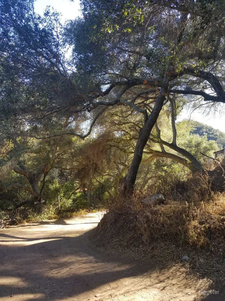  Oak trees, boulder creek, mountains, cabins 