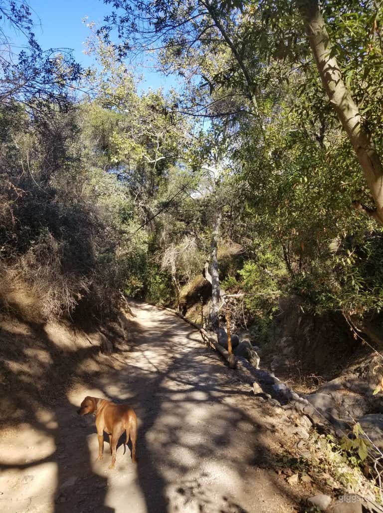  Oak trees, boulder creek, mountains, cabins 