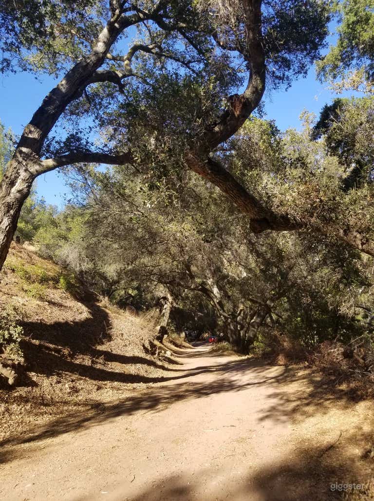  Oak trees, boulder creek, mountains, cabins 