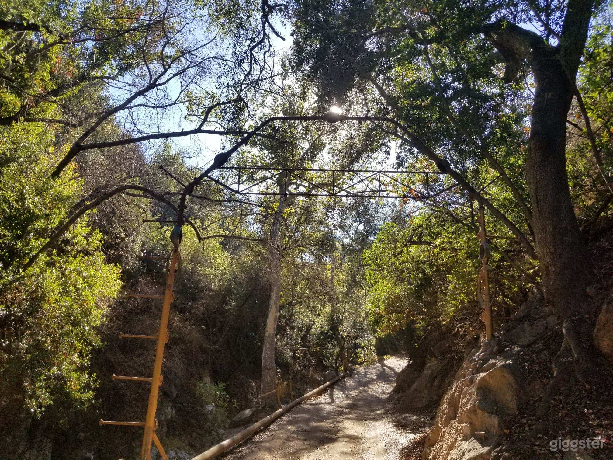 Oak trees, boulder creek, mountains, cabins Photo 1