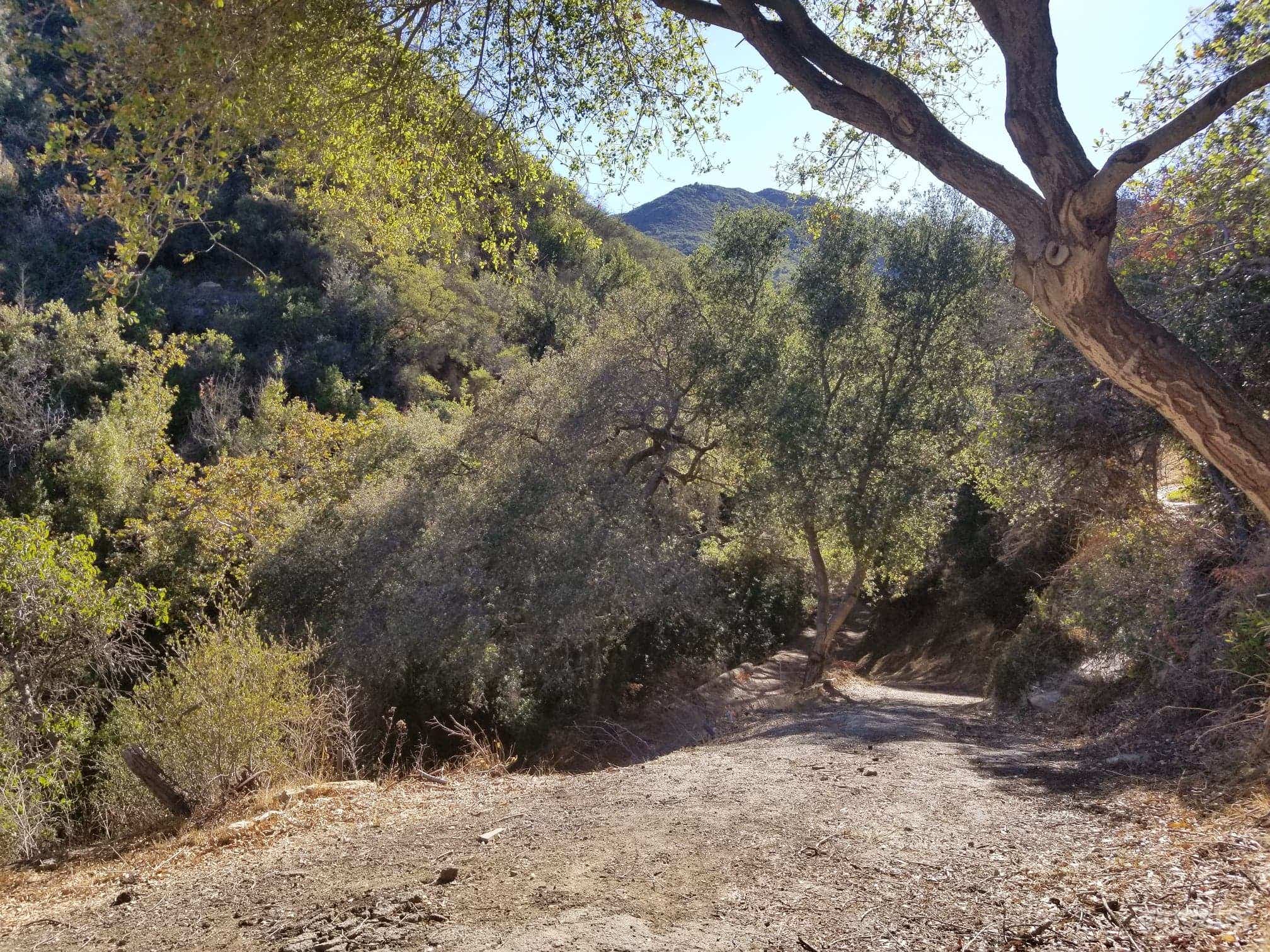 Oak trees, boulder creek, mountains, cabins Photo 3