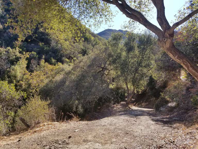  Oak trees, boulder creek, mountains, cabins 