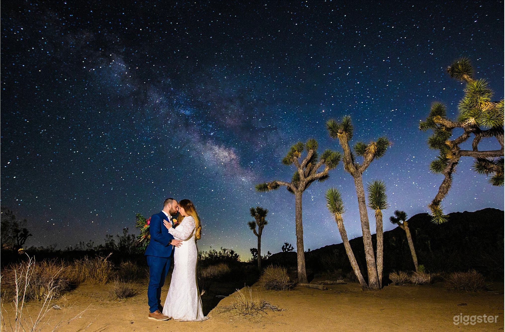 Joshua tree Paradise Photo 4