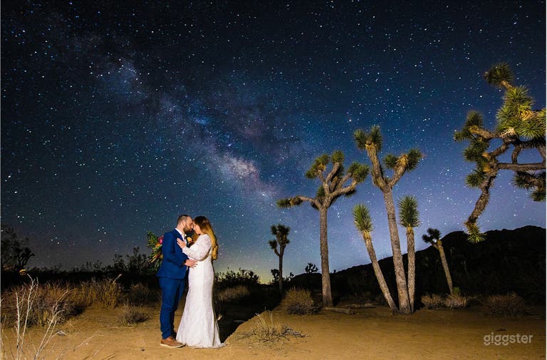  Joshua tree Paradise 