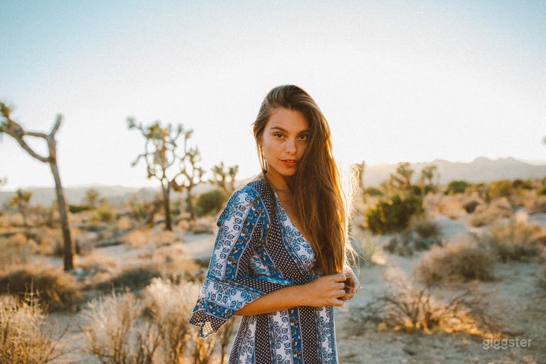  Joshua tree Paradise 