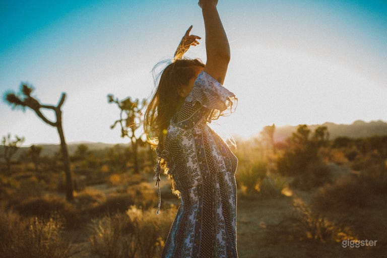  Joshua tree Paradise 